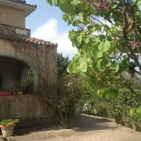 La Casa Di Crescenzo Torchiara